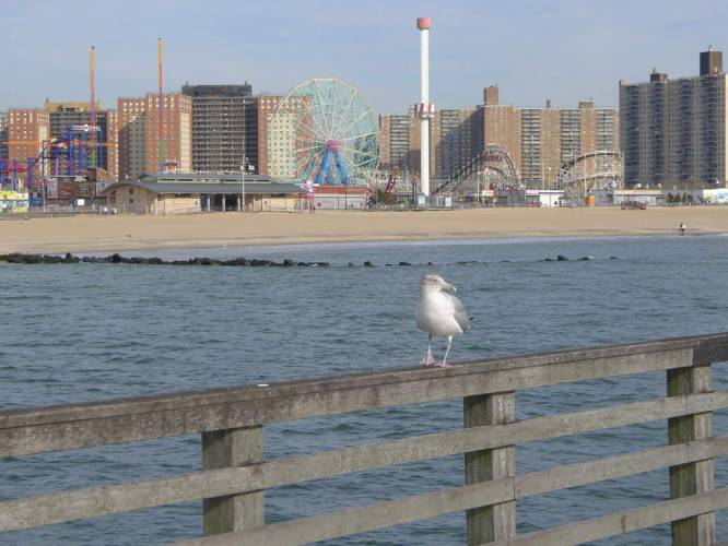 USA_2011-12-02 11-45-48
